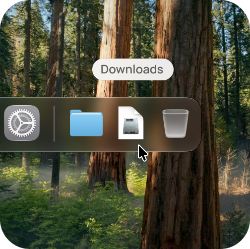 Hibiscus.dmg in the macOS Downloads folder